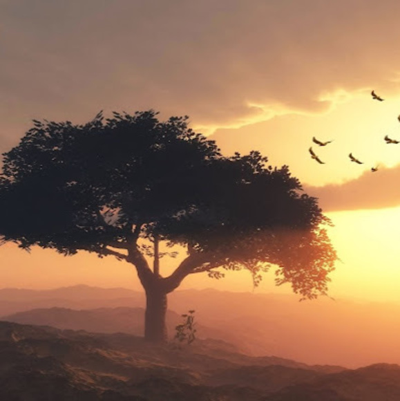 Meet your Posher, Lindsay - Picture 1 of 1